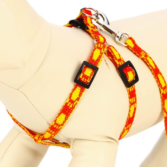 Комплект Комплект "Большая лапа", ширина 1 см, поводок 120 см, шлейка 25-36 см, оранжево-жёлтый