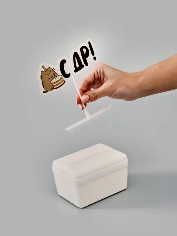 Коробка для маскировки денег в торте Коробка для маскировки денег в торте "С ДР", 11 х 8 х 6 см