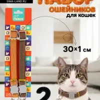 Набор ошейников для кошек, оранжевый, коричневый