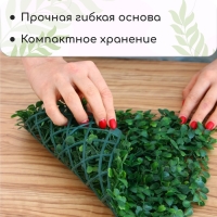 Декоративная панель, 25 × 25 см, «Мокрица», Greengo