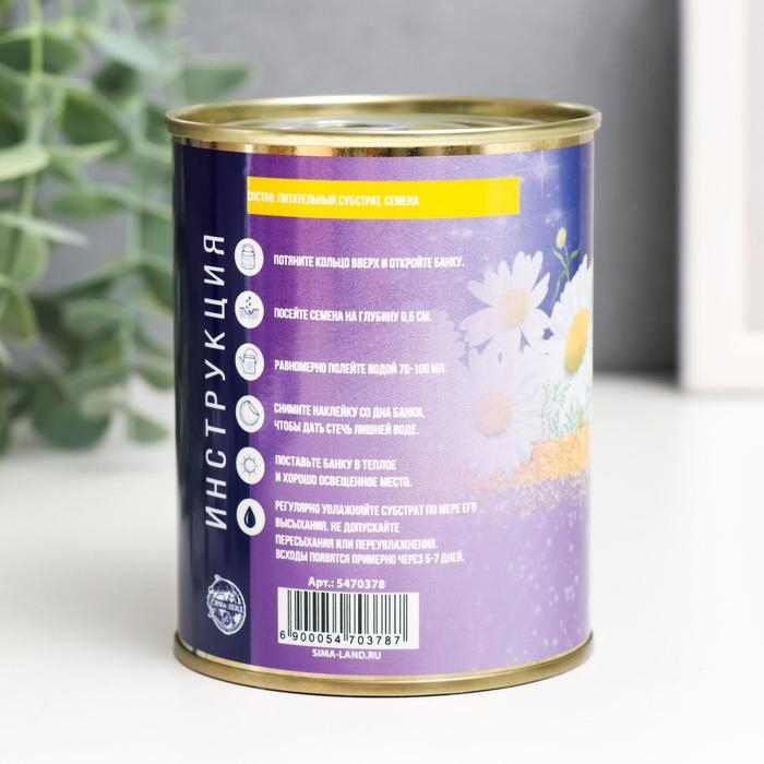 Растущий подарок травка "Цветок желаний" (Ромашка)"