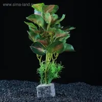 Растение аквариумное "в горшочке", 31 х 23 х 19 см