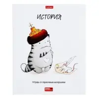 Предметная тетрадь по истории Hatber &laquo;Приключения кота Пирожка&raquo;, 48 листов, в клетку, со справочным материалом, обложка из мелованной бумаги