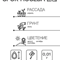Семена Кортадерия Серебристая "Пампасная трава", ц/п, 0,01 гр. Семена Кортадерия Серебристая "Пампасная трава", ц/п, 0,01 гр.