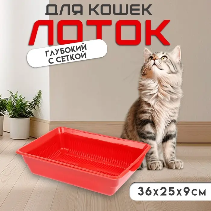 Туалет глубокий с сеткой 36&times;25&times;9 см, красный