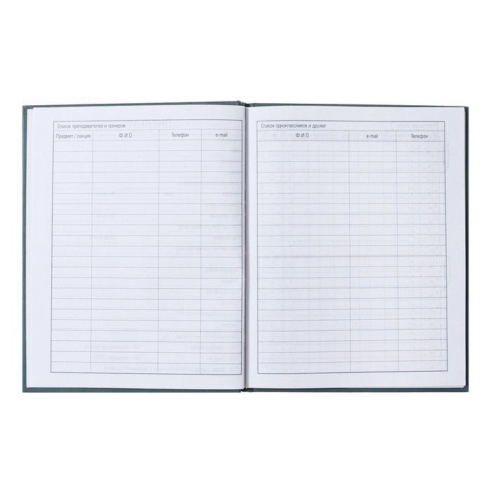 Дневник твердая обложка 1-11 класс, Girl power, металлик, выборочный лак, 40 листов