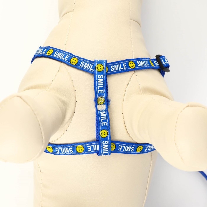 Комплект амуници Комплект амуници "Смайлик", ширина 1 см, поводок 120 см, шлейка 26-38 см, синий