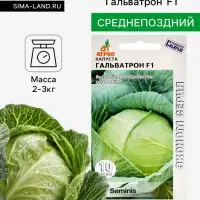 Семена Капуста белокочанная, &laquo;Гальватрон&raquo;, F1, 10 шт., Seminis, &laquo;Агрос&raquo;