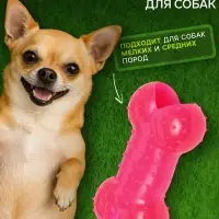 Жевательная игрушка для собак &laquo;Кость малая&raquo;, 8.5 см, суперпрочная, розовая