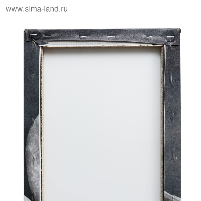 Картина модульная на подрамнике  Картина модульная на подрамнике "Лебеди в ночи" 2шт-25х50, 1шт-30х60 ;60*80 см