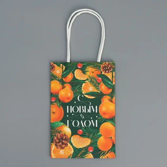 Пакет подарочный новогодний крафтовый «Мандариновое настроение», 15 х 10 х 6 см Пакет подарочный новогодний крафтовый «Мандариновое настроение», 15 х 10 х 6 см