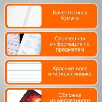 Предметная тетрадь по русскому языку Calligrata &laquo;Футбол&raquo;, 48 листов, в клетку, со справочным материалом, обложка из мелованного картона