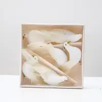 Птичка для декора и флористики, на прищепке, белая, пластиковая, 8&times;8 см