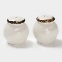 Набор для специй Magistro Alpine Frost, 2 предмета: перечница, солонка, 80 мл, 5&times;6 см, фарфор, белый