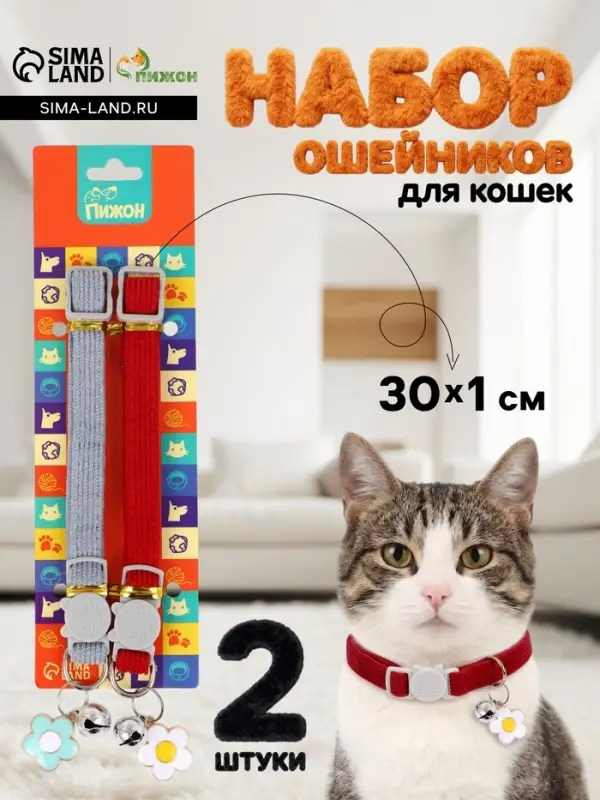 Набор ошейников для кошек, серый, красный