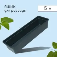Ящик для рассады, 50&times;15&times;10 см, 5 л, пластик, чёрный, &laquo;Садовита 6&raquo;