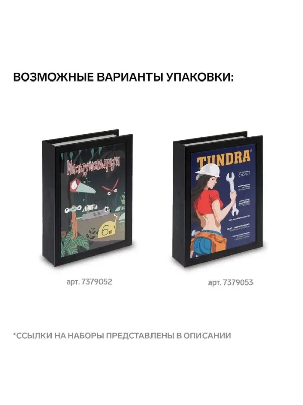 Набор инструментов ТУНДРА, подарочный пластиковый кейс &laquo;Книга&raquo;, 24 предмета