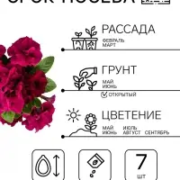Семена цветов Петуния &laquo;Бургунди Каскадная&raquo;, F1, махровая, 7 шт., &laquo;Семена Алтая&raquo;