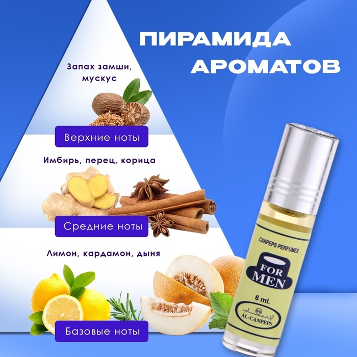 Духи масляные мужские For Men, 6 мл Духи масляные мужские For Men, 6 мл