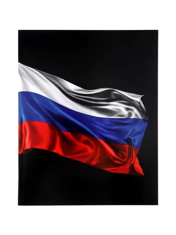Тетрадь 24 листа в клетку Calligrata &laquo;Россия&raquo;, блок офсет, 5 В МИКС