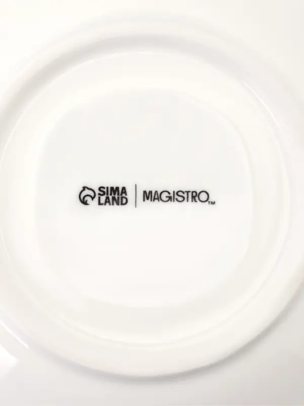 Чайная пара Magistro "Бланш" кружка 200 мл