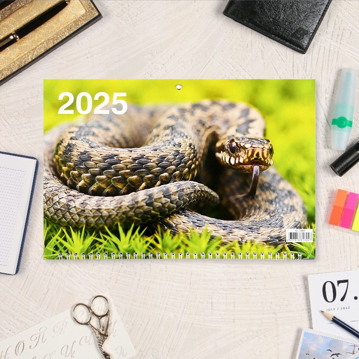 Календарь квартальный, трио Календарь квартальный, трио "Символ года - 5" 2025, 69 х 31 см