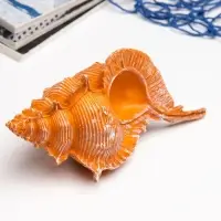 Фигурка полистоун &laquo;Ракушка&raquo;, 23&times;11&times;10 см