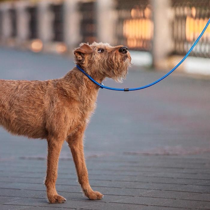 Ринговка 130 х 0,8 см, синяя Ринговка 130 х 0,8 см, синяя