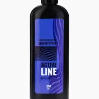 Подарочный набор мужской AСTIVE LINE: гель для душа 250 мл + шампунь 250 мл