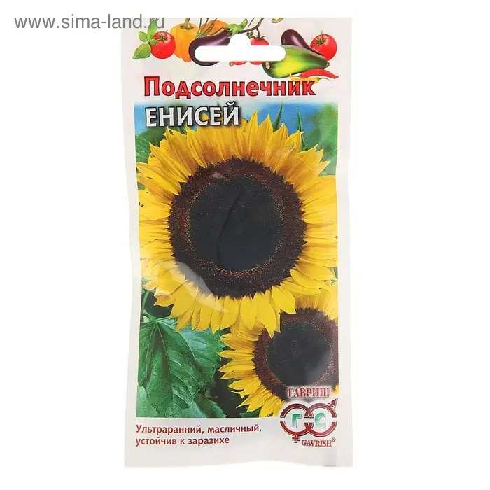 Семена Подсолнечник  Семена Подсолнечник "Енисей", ц/п,  10 г