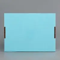 Коробка складная &laquo;Голубая&raquo; для подарков, хранения и отправки посылок, 27&times;21&times;9 см