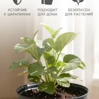 Горшок цветочный с поддоном Saffron, 5.4 л, d=22.4 см, h=20.5 см, пластиковый, серый