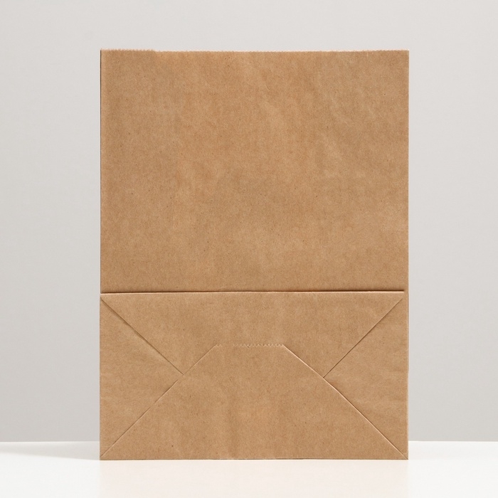 Пакет крафтовый, бумажный, фасовочный, прямоугольное дно, 20 шт., 22 х 12 х 29 см, 70 г/м2 Пакет крафтовый, бумажный, фасовочный, прямоугольное дно, 20 шт., 22 х 12 х 29 см, 70 г/м2