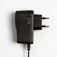 Гирлянда &laquo;Конский хвост&raquo; 10 нитей по 1 м, IP20, серебристая нить, 100 LED, свечение белое, 12 В