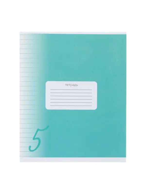 Комплект тетрадей из 10 штук, 24 листа в линию Calligrata "Пятёрка", обложка мелованный картон, ВД-лак, блок офсет, 5 видов по 2 штуки