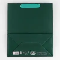 Пакет подарочный ламинированный, упаковка, &laquo;Изумрудный&raquo;, ML 23&times;27&times;11.5 см