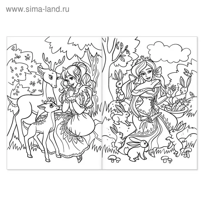 Раскраска «Волшебное королевство», 16 стр., формат А4