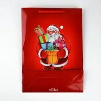 Пакет подарочный «Новогодняя сказка», с очками, 31 × 11 × 40 см Пакет подарочный «Новогодняя сказка», с очками, 31 × 11 × 40 см