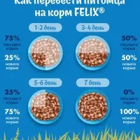 Влажный корм Felix Природа вкуса для кошек, лосось, 75 г