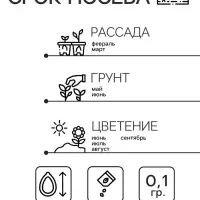 Семена цветов Мимоза "Лирика", стыдливая, розовая, Евро, 0,1 г Семена цветов Мимоза "Лирика", стыдливая, розовая, Евро, 0,1 г