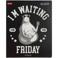 Тетрадь 48л кл Hatber "ЖДУН", на скобе, скругл углы, выб лак, 60-65г/м&sup2; 5В МИКС