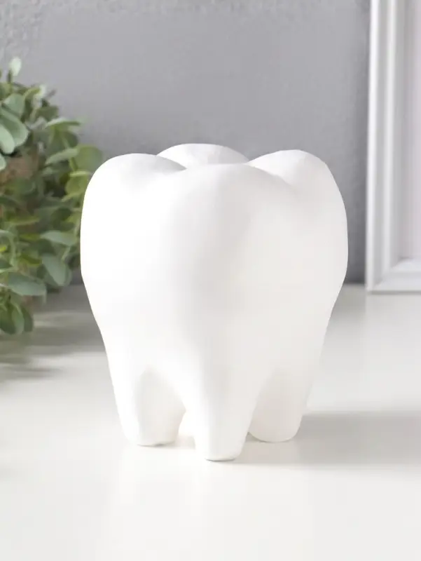 Копилка для денег &laquo;Зуб&raquo;, гипс, белый, 13&times;14&times;19 см