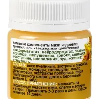 Крем-мазь при псориазе &laquo;Природа кавказского долголетия&raquo;, пластик, 40 мл