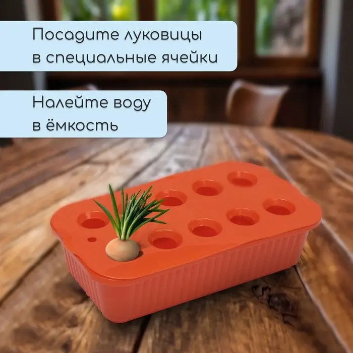 Ящик для выращивания зелёного лука, 29&times;16&times;8.5 см, 2.5 л, 10 лунок, пластик, оранжевый, Greengo