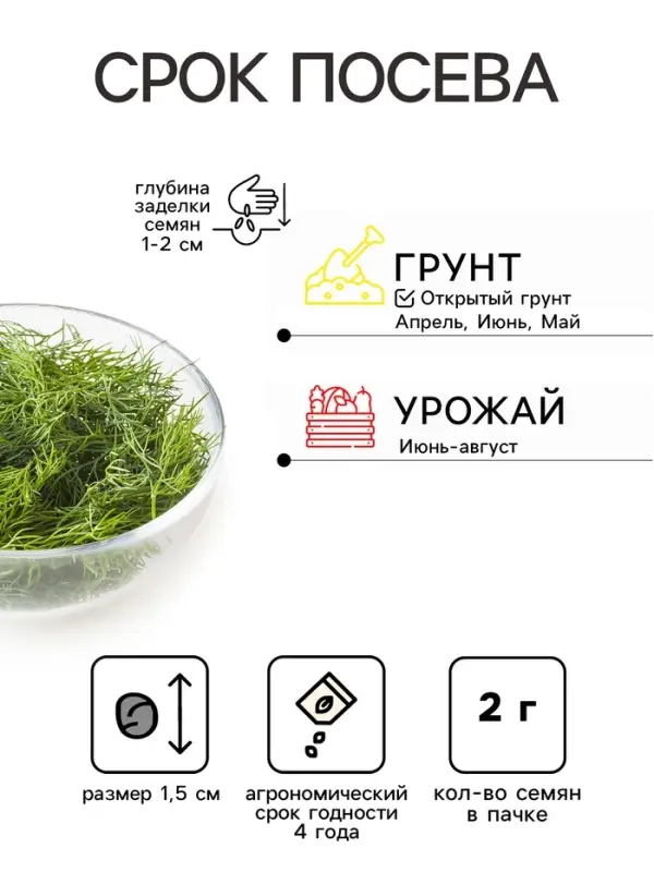 Семена Укроп &laquo;Кустистый&raquo;, 2 г, &laquo;Удачные семена. Хит&raquo;