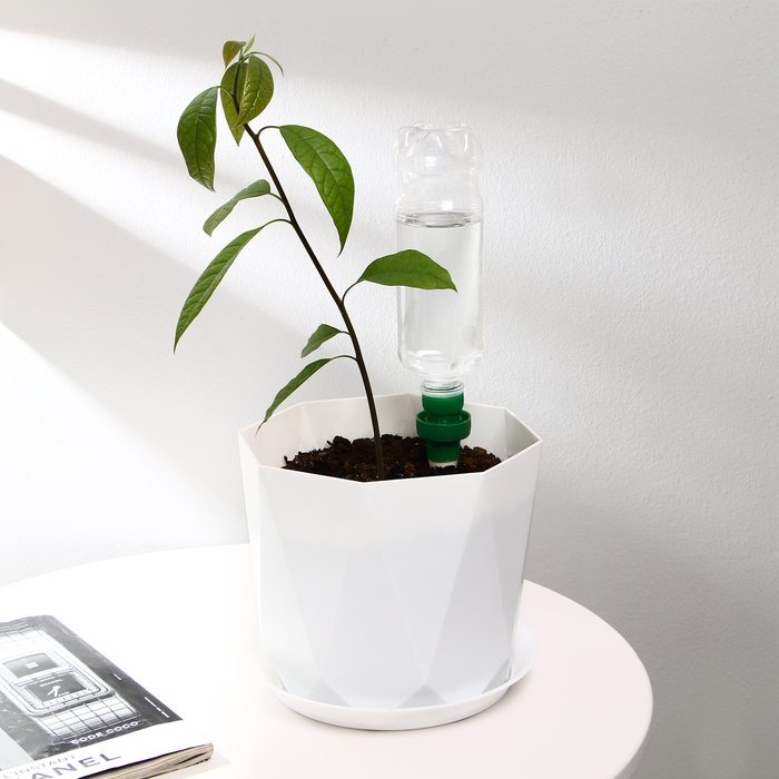 Автополив для комнатных растений, под бутылку, набор 2 шт., Greengo Автополив для комнатных растений, под бутылку, набор 2 шт., Greengo