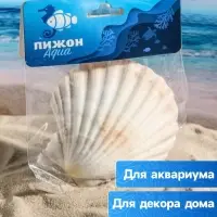 Ракушка декоративная Гребешок, 10-12 см