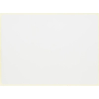 Термотрансферные этикетки ПГЛ 100x72 1000 шт/рул, вт.76, 12 рул/уп