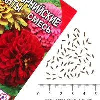 Семена цветов Цинния &laquo;Калифорнийские гиганты&raquo; смесь, 0.3 г