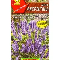 Семена Мята Флорентина, Ц/П,0,05 г Семена Мята Флорентина, Ц/П,0,05 г